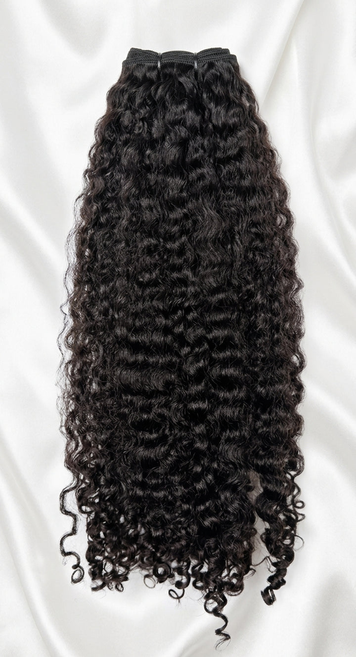 RAW Eurasian Curly