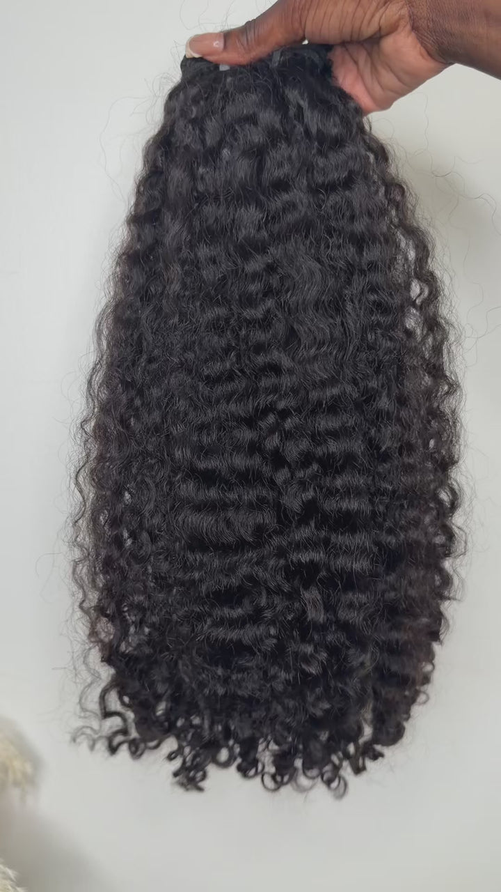 RAW Eurasian Curly